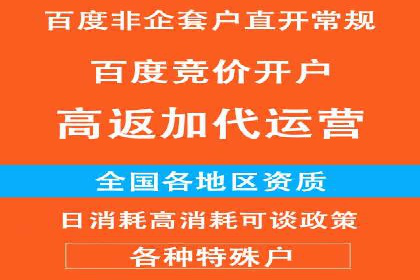 SEM主管实战：案例分析与优化策略